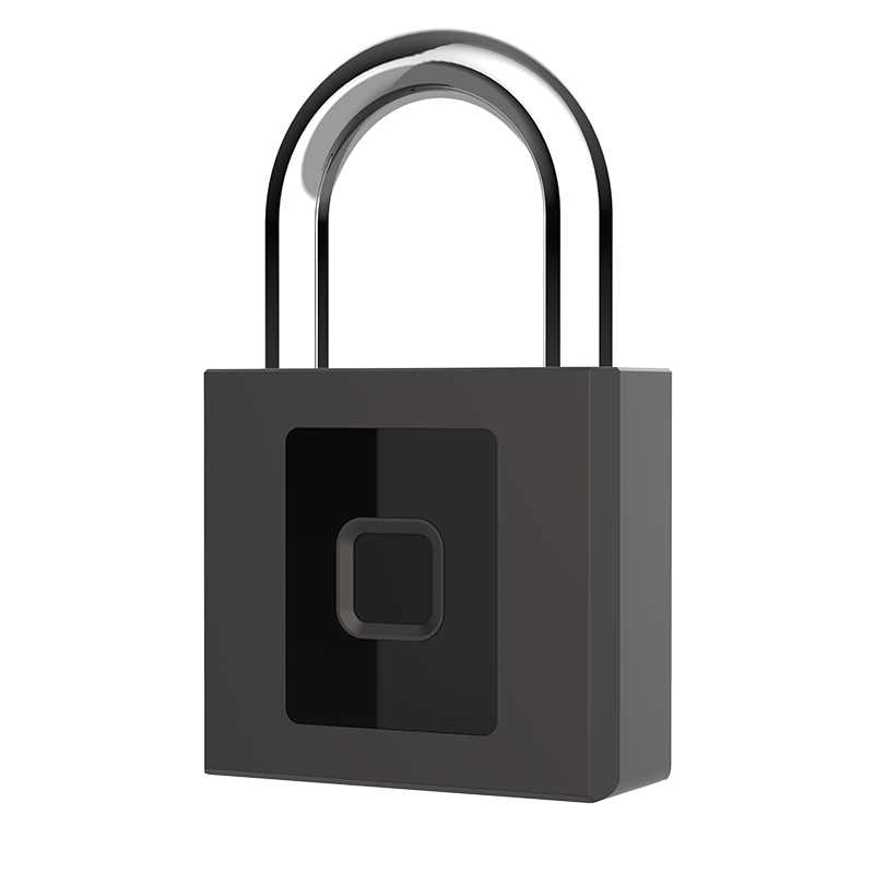 Import Fingerprint Padlock P9/P9BF from chinese wholesale supplier and manufacturer