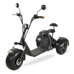 Import THREE WHEEL E-MOTORCYCLE from chinese wholesale supplier and manufacturer