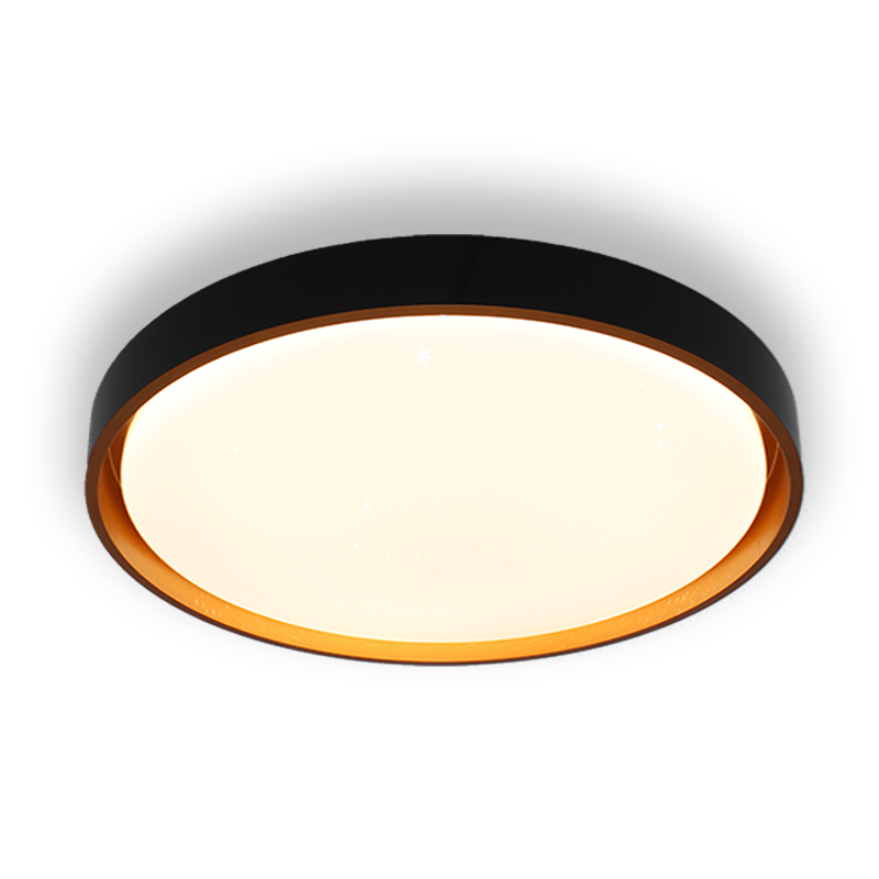 Import LED Ceiling Light from chinese wholesale supplier and manufacturer
