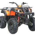 Import Gasoline Powered 4 Stroke Quad Bike ATV 200cc for adult from chinese wholesale supplier and manufacturer