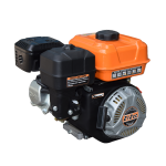 Import 170F(X1) LIFAN Gasoline engine from chinese wholesale supplier and manufacturer