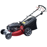 Import XSZ4IN153 （Lifan lawn mower） from chinese wholesale supplier and manufacturer