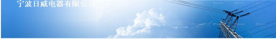 ZHEJIANG RIWEI ELECTRICAL APPLIANCES CO. LTD.