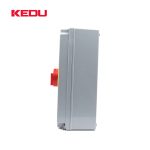 Import Switch-Disconnectors in Aluminium Enclosures IP67 IK08(100A 125A) from chinese wholesale supplier and manufacturer