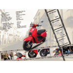 Import Amici Electric from chinese wholesale supplier and manufacturer