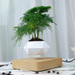 Import Levitating bonsai from chinese wholesale supplier and manufacturer