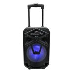 Import 8inch trolley bt speaker with microphone from chinese wholesale supplier and manufacturer