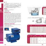 Import GENERATOR GENERADOR from chinese wholesale supplier and manufacturer