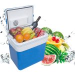 Import AC DC 24L Mini Fridge Hot and Cold both function from chinese wholesale supplier and manufacturer