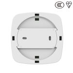 Import Carbon Monoxide Alarm from chinese wholesale supplier and manufacturer