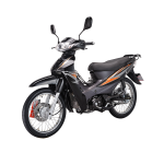 Import ARES 110 (LIFAN Cub Motorcycle) from chinese wholesale supplier and manufacturer