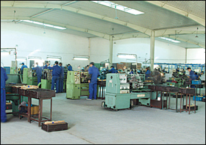 ZHEJIANG WUYI GONGLI ELECTRIC MACHINERY CO. LTD.
