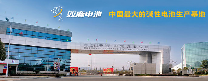 Zhongyin (Ningbo) Battery Co. LTD.