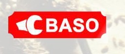 CHONGQING BASO TRADING CO. LTD.