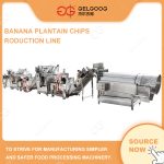 Import Automatic Banana Plantain Chips Production Line from chinese wholesale supplier and manufacturer