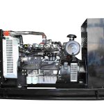Import 80kW Lovol natural gas generator from chinese wholesale supplier and manufacturer