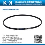 Import AUTOMOTIVE RIBBED BELT from chinese wholesale supplier and manufacturer