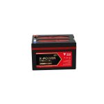 Import Electric bike batteries TNEH series from chinese wholesale supplier and manufacturer