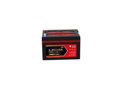 Import Electric bike batteries TNEH series from chinese wholesale supplier and manufacturer