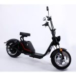 Import Big Promotion Nice Shape Luqi Electric Bicycle with Double Disc Brakes from chinese wholesale supplier and manufacturer
