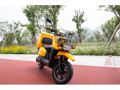 Import MCN B Electric Scooter from chinese wholesale supplier and manufacturer
