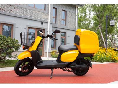 Import MCN B Electric Scooter from chinese wholesale supplier and manufacturer