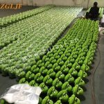 Import blower from chinese wholesale supplier and manufacturer