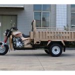 Import 150CC Gasoline Cargo Tricycle with EEC from chinese wholesale supplier and manufacturer