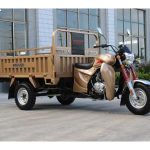 Import 150CC Gasoline Cargo Tricycle with EEC from chinese wholesale supplier and manufacturer