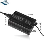 Import C300 lifepo4 battery charger 14.6v 4s 12v 15a from chinese wholesale supplier and manufacturer
