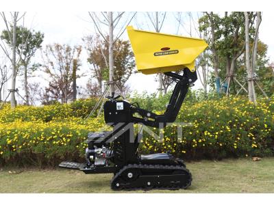 Import Ant Mini Dumper Power Barrow Hydraulic Transmission Truck Crawler BY600L from chinese wholesale supplier and manufacturer