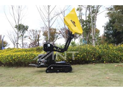 Import Ant Mini Dumper Power Barrow Hydraulic Transmission Truck Crawler BY600L from chinese wholesale supplier and manufacturer