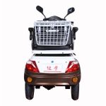 Import T409 EEC 2 Seat Mobility Scooter 3 Wheel Electric Tricycle from chinese wholesale supplier and manufacturer