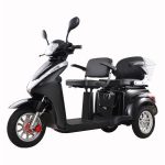 Import T409-2 EEC 1000W 2 Seats 3 Wheel Electric Mobility Scooter for Passenger from chinese wholesale supplier and manufacturer