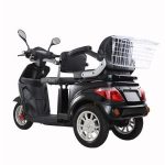Import T409-2 EEC 1000W 2 Seats 3 Wheel Electric Mobility Scooter for Passenger from chinese wholesale supplier and manufacturer
