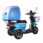 Import T413-2 Food Delivery Scooter Three Wheel Electric Tricycle Scooter with Cooler Box from chinese wholesale supplier and manufacturer