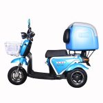 Import T413-2 Food Delivery Scooter Three Wheel Electric Tricycle Scooter with Cooler Box from chinese wholesale supplier and manufacturer