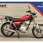 Import MOTORCYCLE TZ-125/150/200 from chinese wholesale supplier and manufacturer