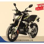 Import MOTORCYCLE XS-125/150/200 from chinese wholesale supplier and manufacturer