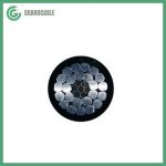 Import Poly All Aluminum Conductors Steel Reinforced (POLY ACSR) PE Insulated 600 Volts from chinese wholesale supplier and manufacturer