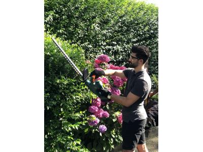 Import CG200M02 DC20V Li-Ion Battery Cordless Garden Hedge Trimmer from chinese wholesale supplier and manufacturer