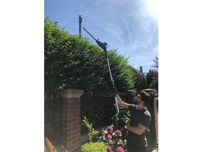 Import CG200M07 DC20V Li-Ion Battery Cordless Telescopic/Pole Garden Hedge Trimmer from chinese wholesale supplier and manufacturer