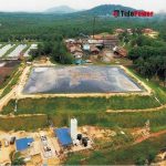Import Biogas Power Plant BOT Project from chinese wholesale supplier and manufacturer