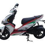 Import PIEGON from chinese wholesale supplier and manufacturer