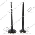 Import Intake and exhaust valve from chinese wholesale supplier and manufacturer