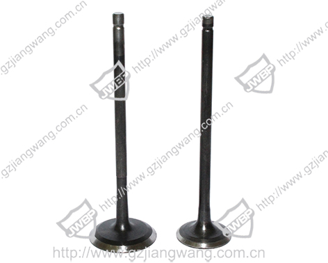 Import Intake and exhaust valve from chinese wholesale supplier and manufacturer