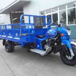 Import DB250ZH-3A 250CC DOUBLE REAR WHEEL MINI TRUCK CARGO TRICYCLE from chinese wholesale supplier and manufacturer