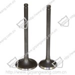 Import Intake and exhaust valve from chinese wholesale supplier and manufacturer
