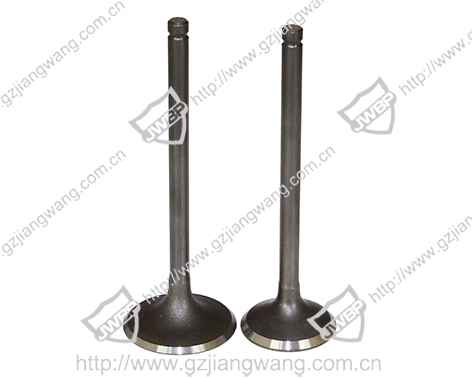 Import Intake and exhaust valve from chinese wholesale supplier and manufacturer