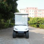Import ELECTRIC GOLF CAR from chinese wholesale supplier and manufacturer